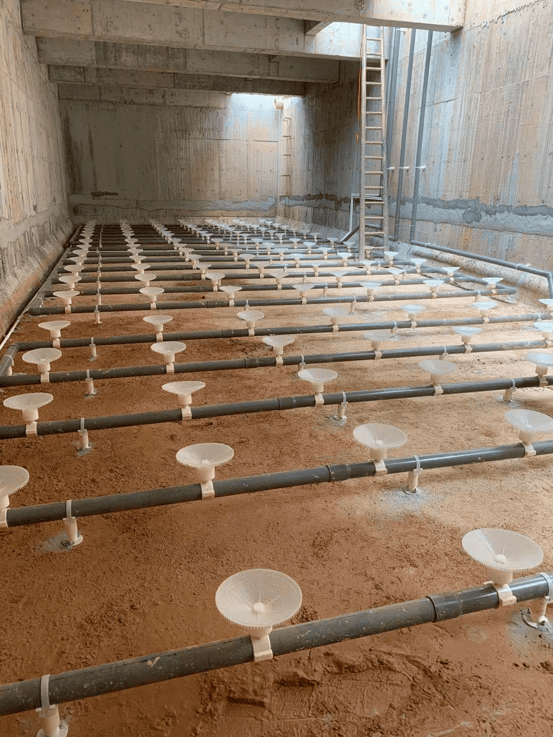 Jiangmen Wastewater Case